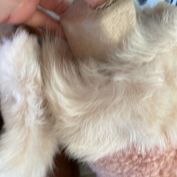 NWT UGG Classic Short Patchwork Size 6 - Picture 6 of 11